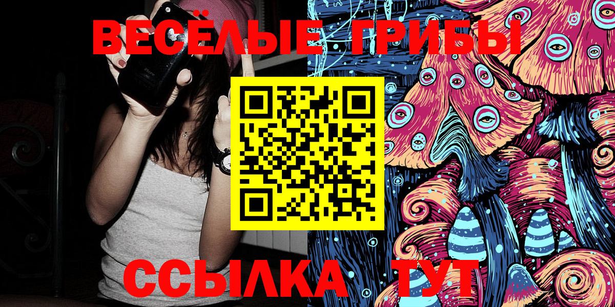 Качканар  Псилоцибиновые грибы Cubensis  Вход с VPN 