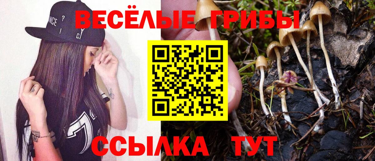 Галлюциногенные грибы MAGIC MUSHROOMS Качканар